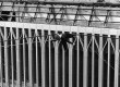 Imagem do verdadeiro Philippe Petit durante a travessia entre os prédios do Word Trade Center