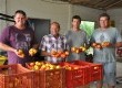 Trabalho familiar garante as produções em cada safra