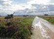 Em Arroio Grande, as más condições de trafegabilidade das estradas e corredores de acesso às propriedades, em decorrência das chuvas, se somaram aos prejuízos na agricultura