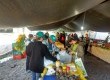 Banca de alimentos de Onécio Leal, da Arpa-Sul, durante a Feira da avenida Dom Joaquim