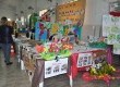 Projetos desenvolvidos por alunos de escolas da rede municipal de ensino