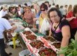 Expectativa é de que a festa receba 15 mil visitantes nos dois dias