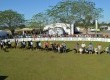 Grandes campeões desfilaram na tarde do domingo (6)