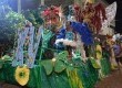 XV de Novembro levou para a avenida sua própria animação ao fazer Carnaval