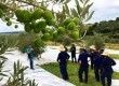 A Azeite Batalha bateu recorde de produção na safra de 2017