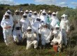 Curso de Apicultura é mais uma das especializações oferecidas pela equipe