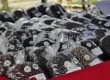 30 variedades, totalizando 2 mil quilos, foram expostas, muitas delas comercializadas com valores entre R$ 6 e R$ 15