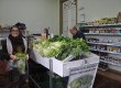 “Produção Agroecológica: Agricultura familiar solidária e justa, economicamente viável e ecologicamente sustentável” é o tema da campanha neste ano
