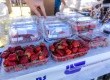 Houve grande demanda de morangos in natura na Festa