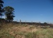 Seis hectares de soja foram queimados