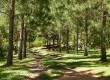 Chácara dos Pinus também oferece opções de turismo durante a temporada de fevereiro