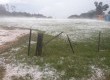 Quantidade foi tão impressionante que campos ficaram brancos com as pedras