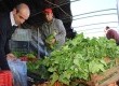 Com o Programa de Aquisição de Alimentos (PAA), o município adquire produtos de agricultores rurais e os distribui para famílias em vulnerabilidade social