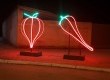 Símbolos da economia local e do evento foram iluminados no município