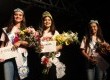 Corte da 5ª Expofeira Regional da Raça Jersey foi escolhida no dia 18