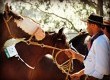 Cavalos Crioulos foram atração à parte da 35ª Expofeira