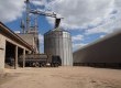 Empresa está com os silos abarrotados do grão
