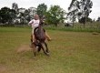 Além de provas de um ano e de 21 dias de doma, o evento contou com campeonato de paleteadas