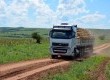 As melancias produzidas em Pedro Osório são enviadas para diversas cidades do Brasil