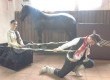 A invernada juvenil dos Farrapos retrata a origem de Pelotas