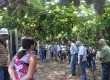 Abertura contou com Dia de Ca,pó que levou público até as parreiras
