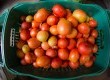 Os orgânicos são produtos sem agrotóxicos, mas também são isentos de insumos artificiais como os adubos químicos, bem como drogas veterinárias, hormônios e antibióticos e organismos geneticamente modificados
