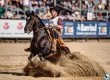 Freio de Ouro 2015: Na categoria macho o vencedor do Freio de Ouro foi o cavalo JA Libertador, do criador José Antônio Anzanello e Condomínio JA Libertador