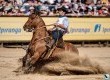 Freio de Ouro 2015: Na categoria fêmea, a vencedora foi a égua Jotace Utopia, da Cabanda Jotace